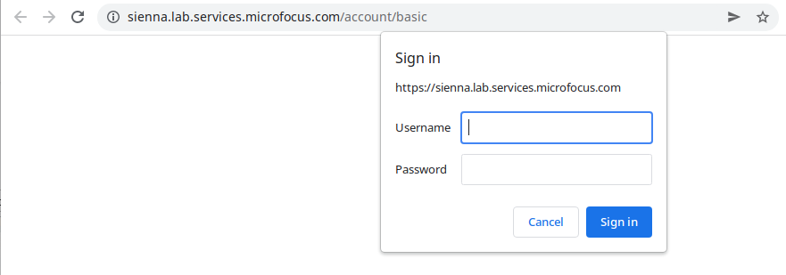 Basic Authorization errors with Access Manager/Advanced Authentication