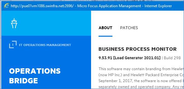 BPM 9.53 BPM upgraded from 9.51 to 9.53 still show up with