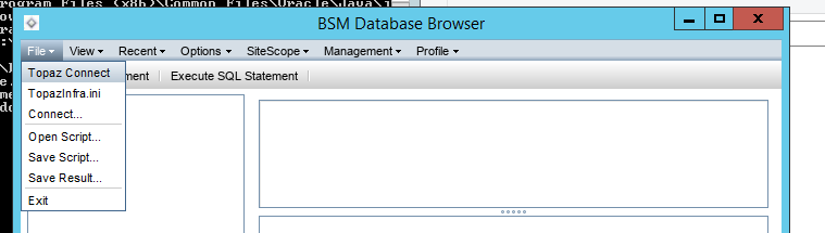 APM How to check if partition enabled for APM