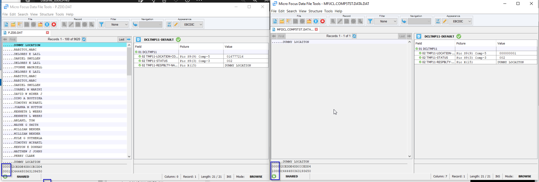 COMP-5 Field is displayed differently in Data File Tools