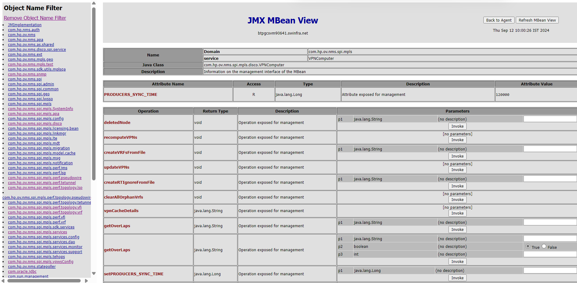 Enable JMX console for mpls module