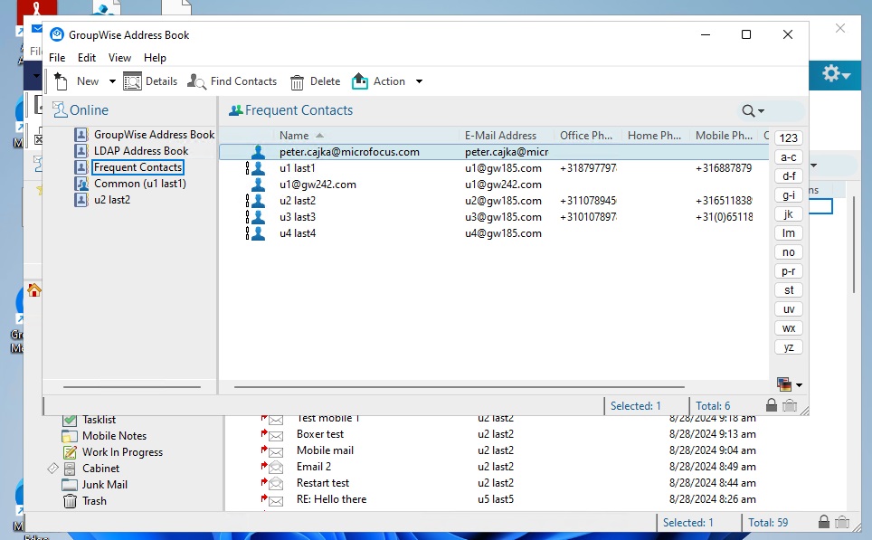 Cleaning Frequent Contacts address book.