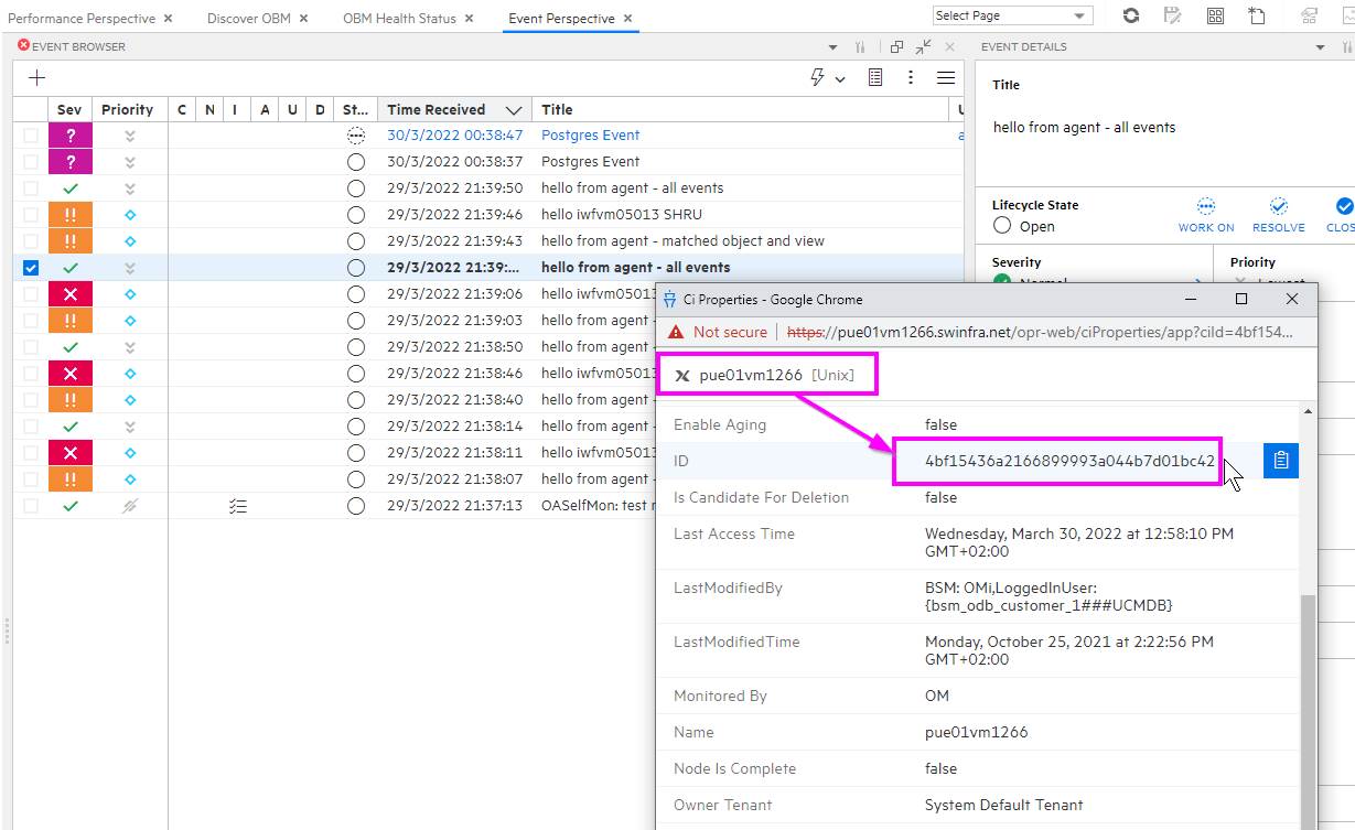 Using OBM's Tools Webservice