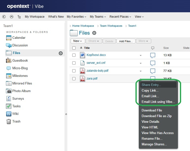 Team members are missing share right options on a team workspace items.